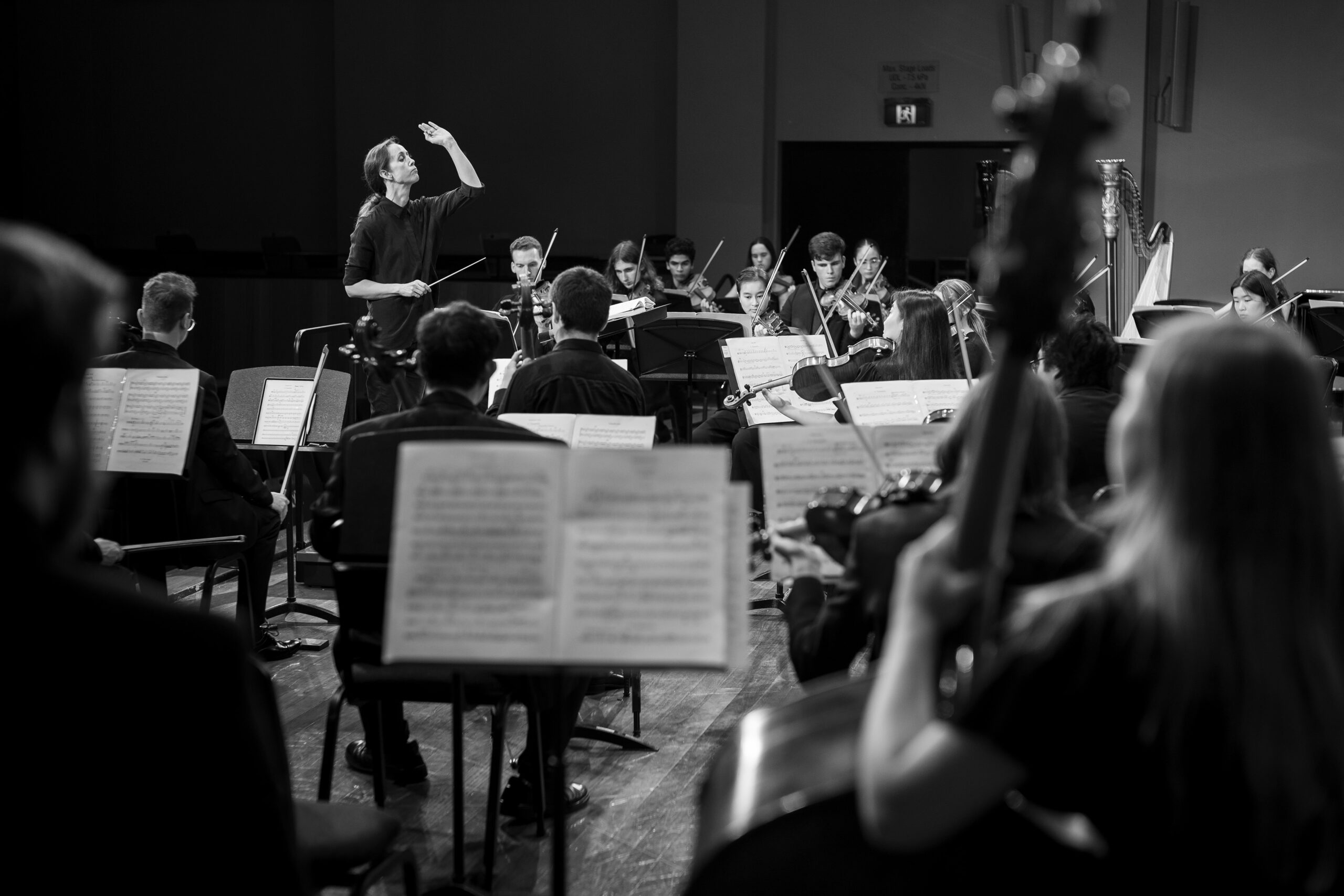 Upcoming Performances - The Sydney Youth Orchestra